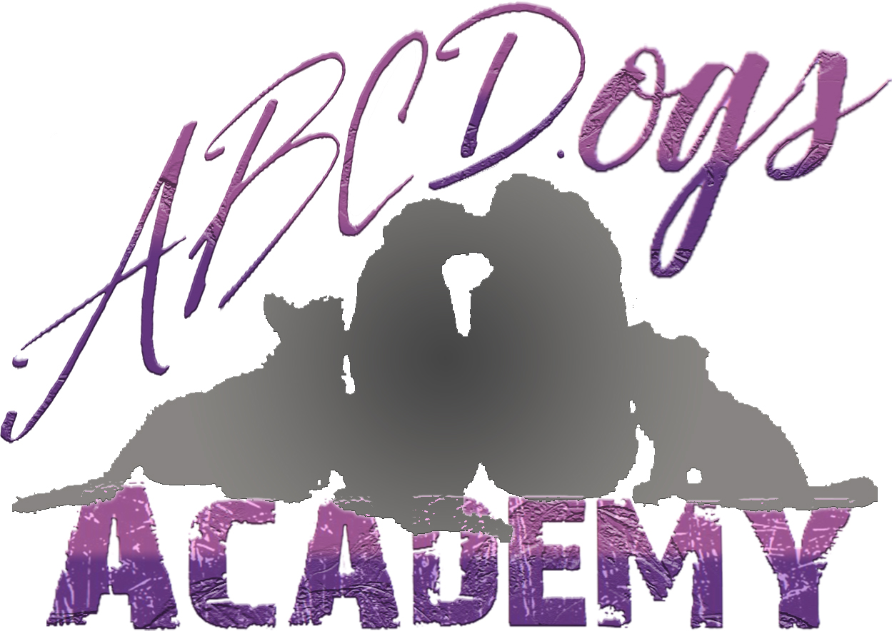 ABCD.ogs Academy